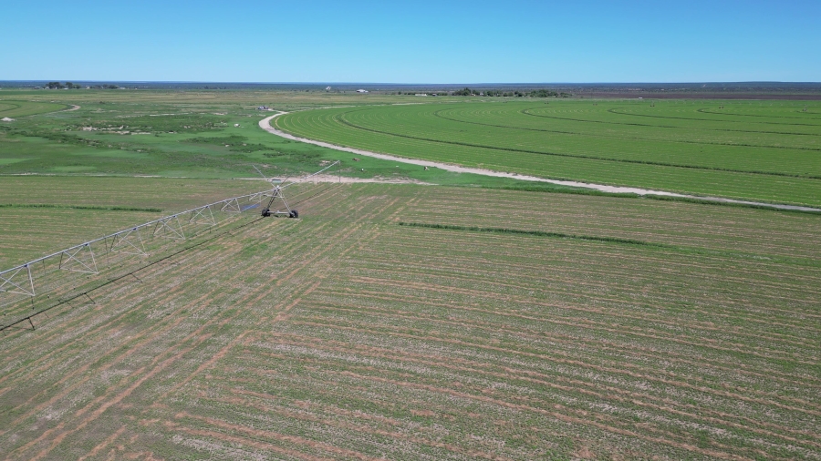 0 Bedroom Property for Sale in Douglas Rural Northern Cape